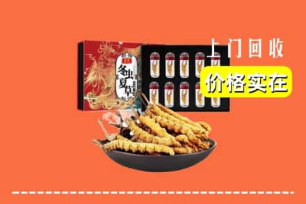 赤峰巴林右旗回收冬虫夏草